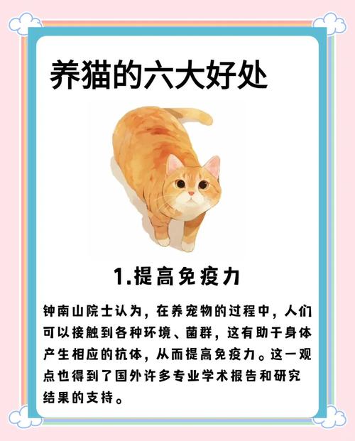 养猫对家居风水有哪些具体的好处呢？
