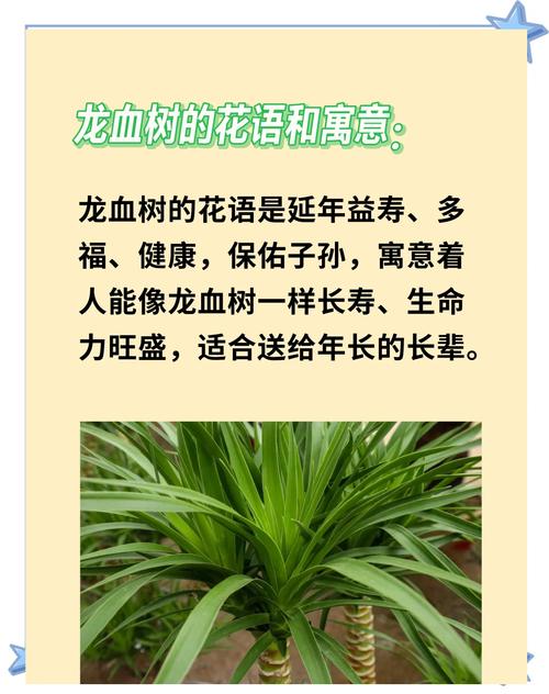 植物真的具有风水上的特殊作用吗？