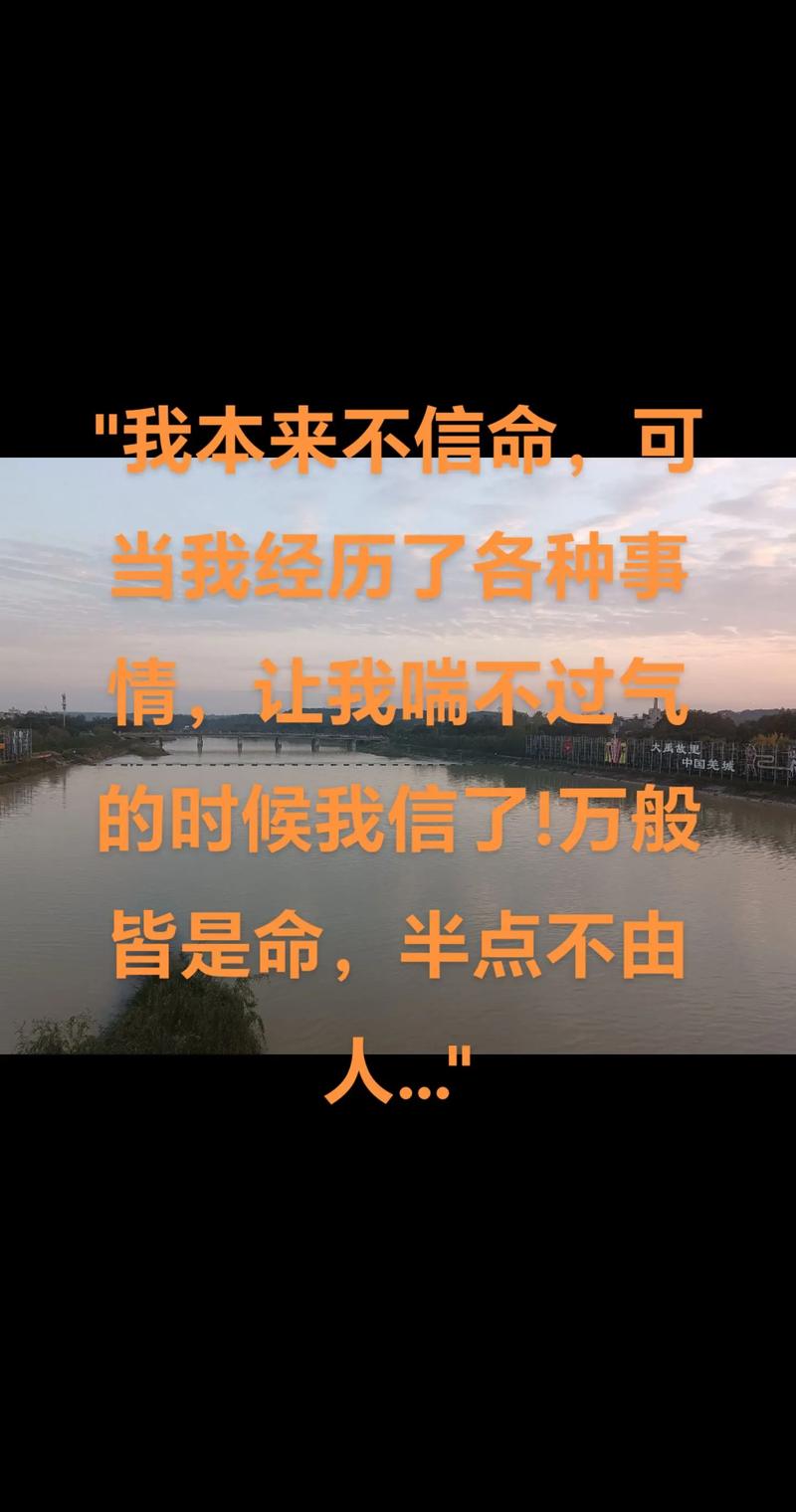 明明什么都懂却偏不信命，你信命吗？可我不甘心认命，这合理吗？