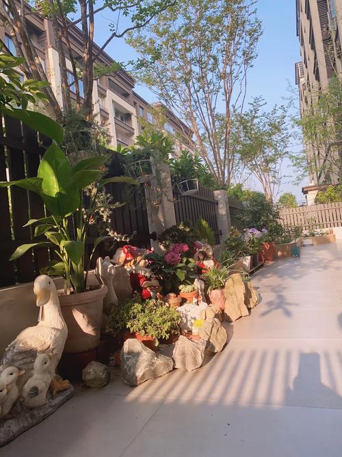 为什么花园风水好的人会这么多呢？