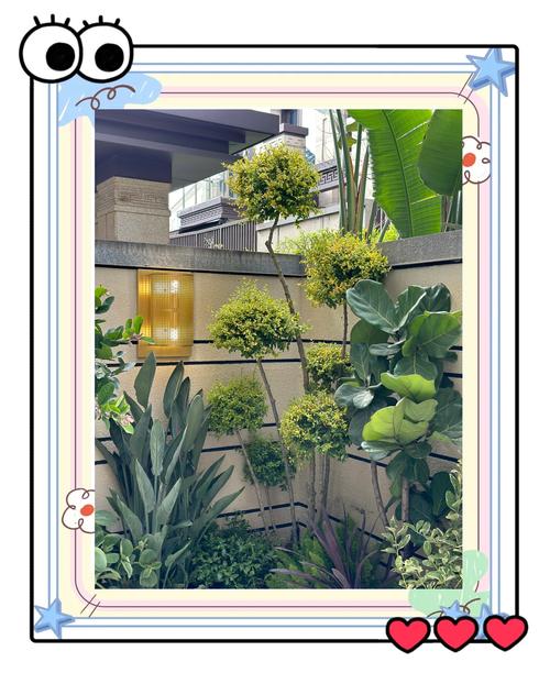 如何将花园门口设计融入风水元素？