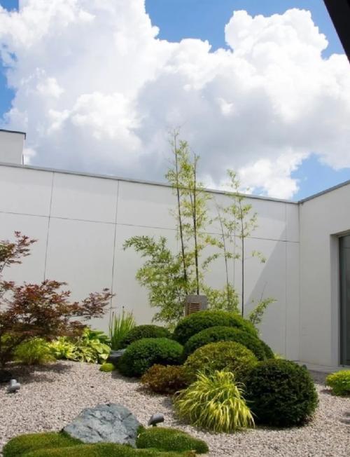 庭院适合种植竹子吗？这样的风水布局是否吉利？