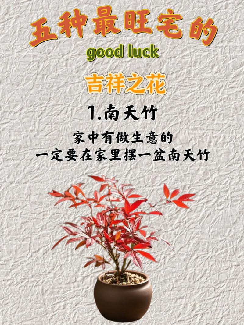 家里适合养花吗？这样的风水布局是否吉利？