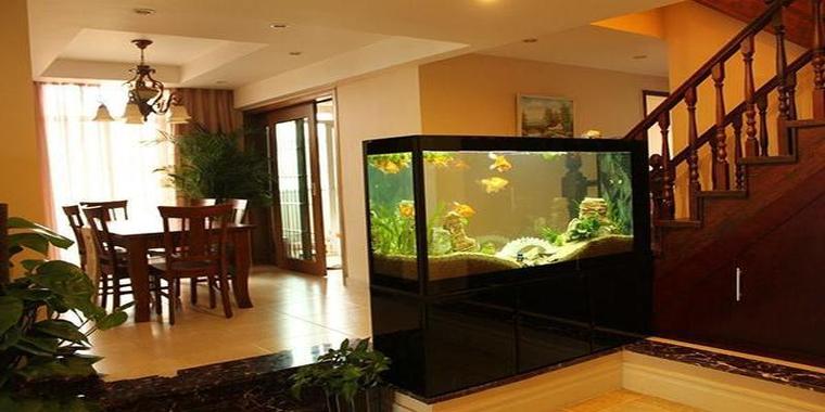 鱼缸捕鱼对家居风水有何具体影响或潜在弊端？