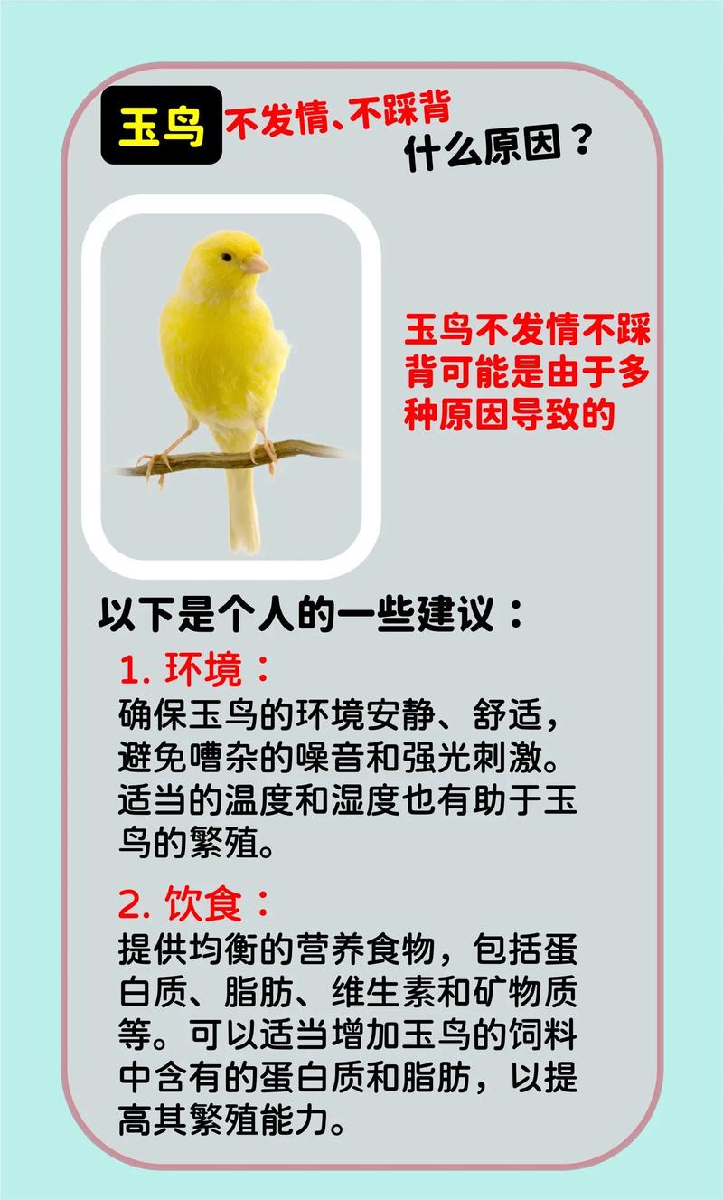 家里适合养玉鸟吗？这对风水有好处吗？