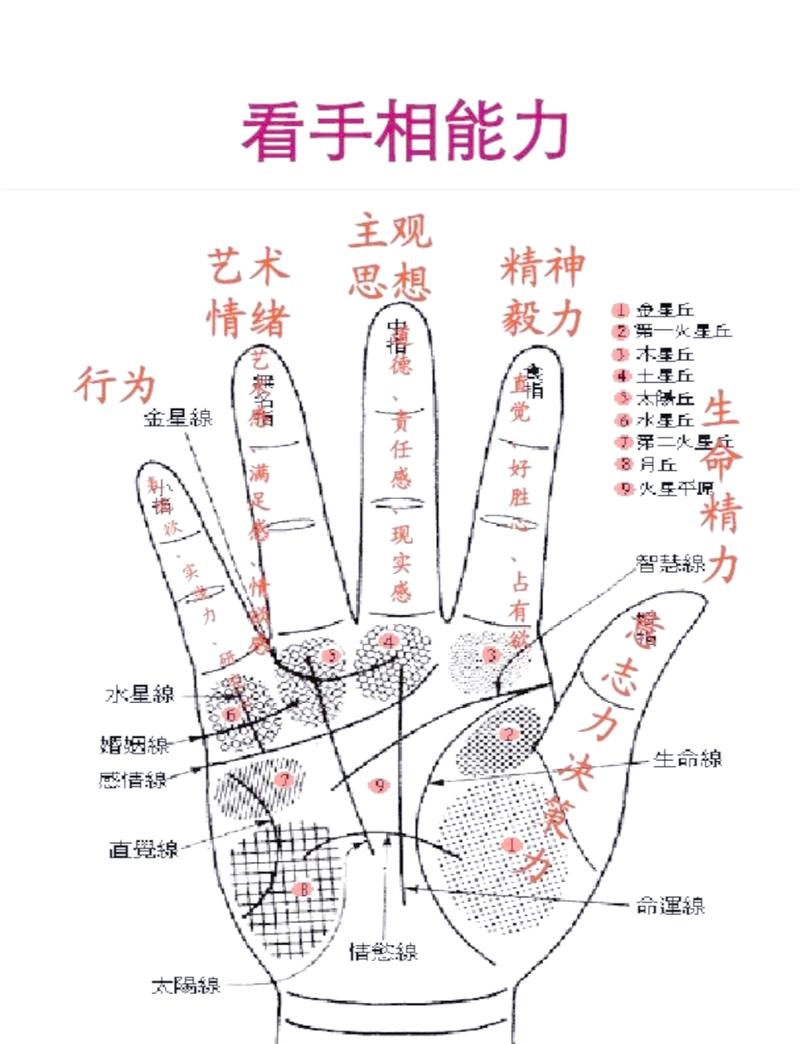 女生哪种手纹预示着享福命？女人手相中哪些特征代表好命？