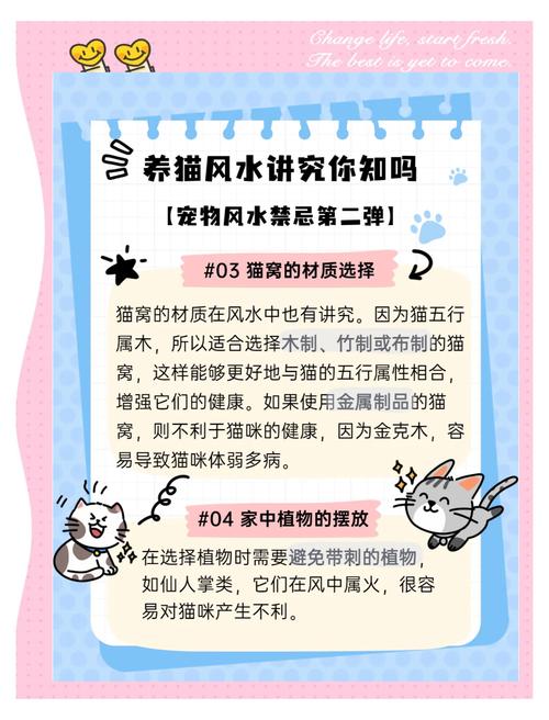 猫门对风水有影响吗？是吉是凶呢？