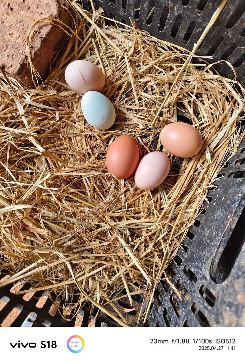 为什么风水鸡蛋不嫩随便捡，这样Zuo有什么讲究？