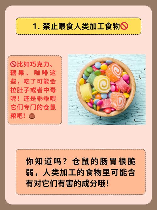 家里养仓鼠真的会破坏风水吗？这究竟是怎么回事呢？
