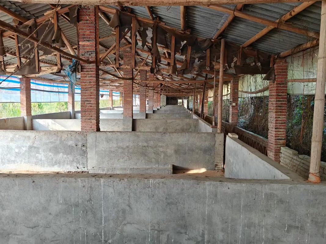 猪栏附近可以种植蔬菜吗？这样的风水布局合适吗？