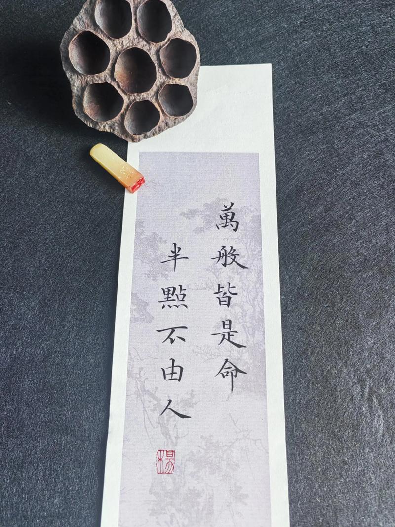 命运高低由天定，‘我命贵还是命贱’由天意，‘万般皆有命半点不由人’的哲理如何诠释？