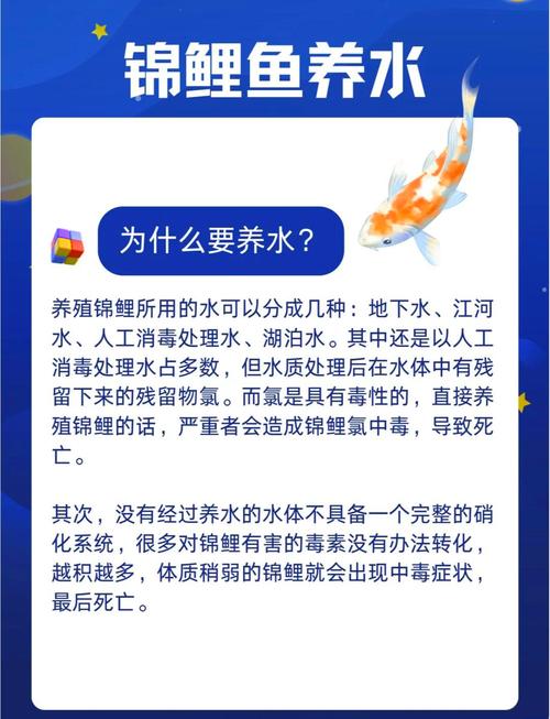 小型风水池适合养鱼吗？哪种鱼类梗适合在这样的环境中生活？