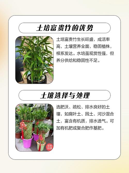 土命家里适合种植哪些植物？哪种土培植物最适合养护？