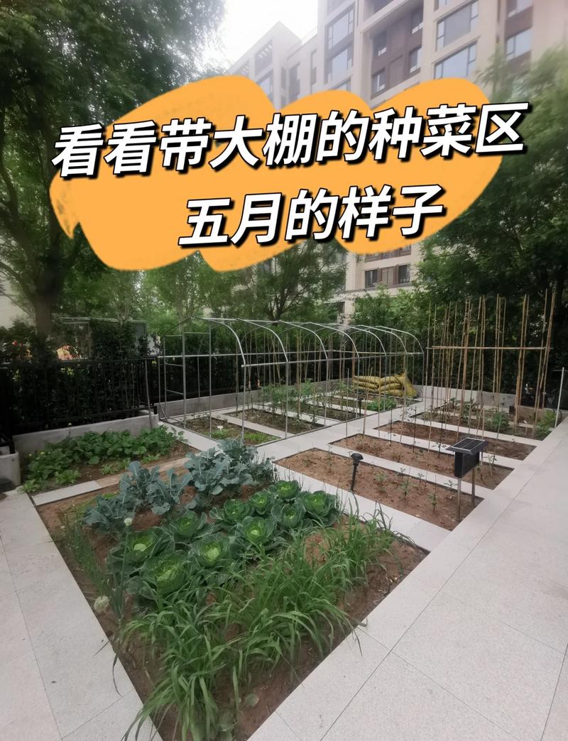 在房屋里种植蔬菜，这样的风水布局是否适宜呢？