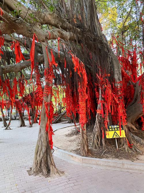 庙宇被树木遮挡，这样的风水布局会对运势有影响吗？