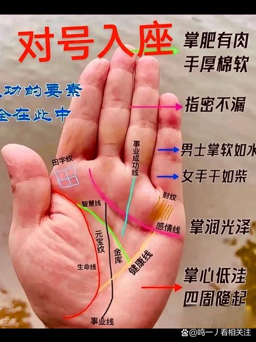 女性手指粗短手掌肥厚，这样的手相命运如何？