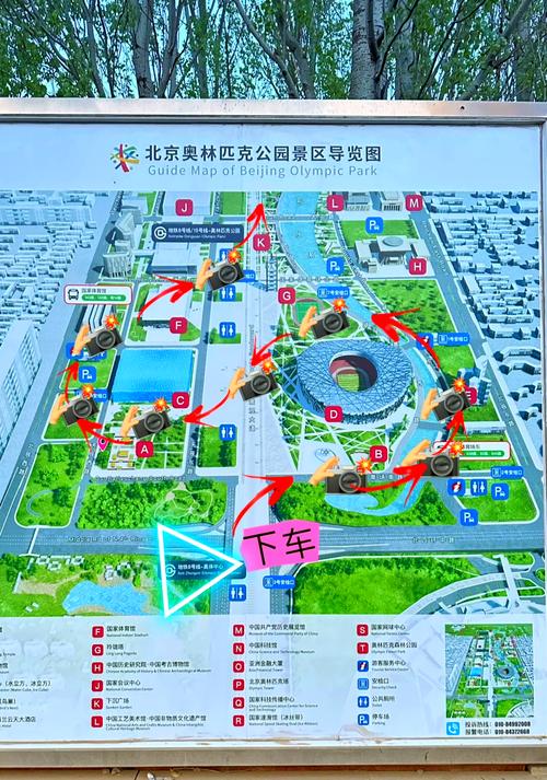 建鸟巢时是否考虑过风水布局的讲究？