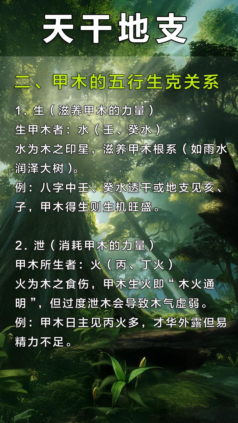 女命带三甲木的命格是什么？甲木的功效与作用有哪些？