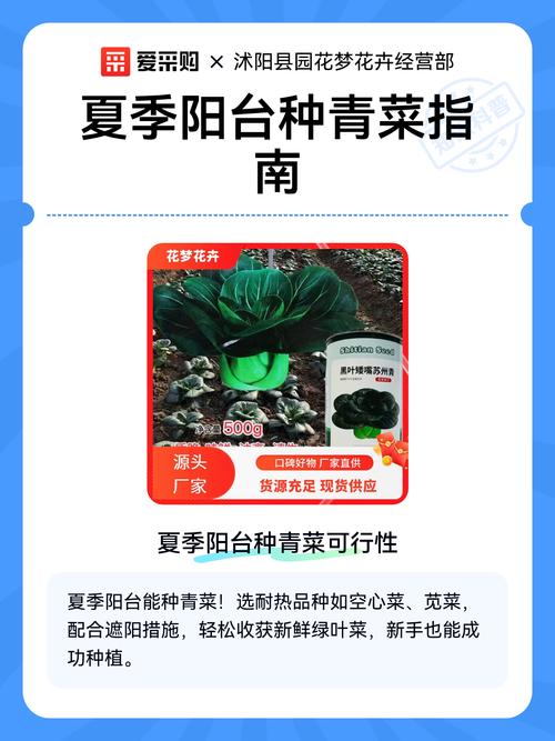 门口种植青菜对风水有影响吗？