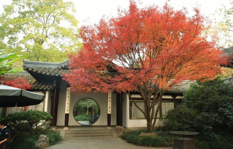 景观池的设计与布局是否与风水学有着密切的联系呢？