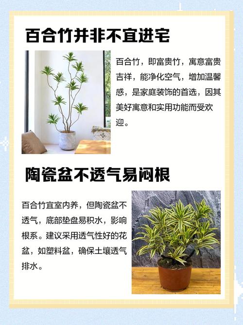楼下植物被砍后会对家中的风水产生怎样的影响呢？