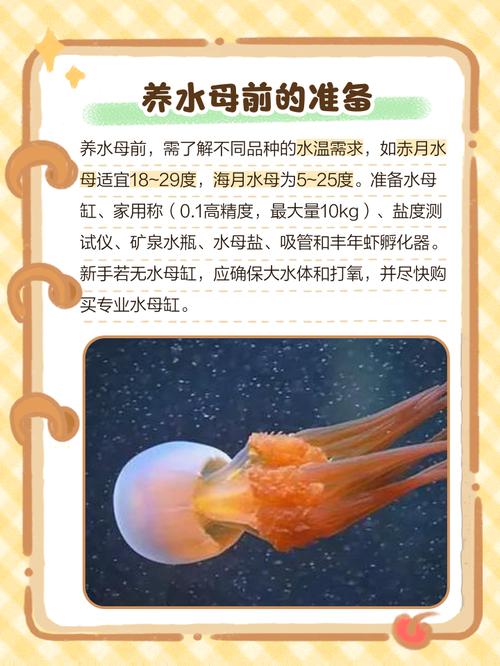 家里风水是否适宜养水母，有什么讲究和注意事项？