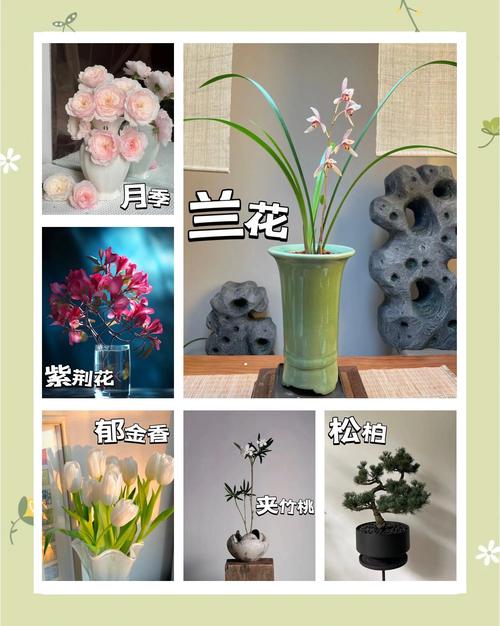 卧室种花对风水有影响吗？