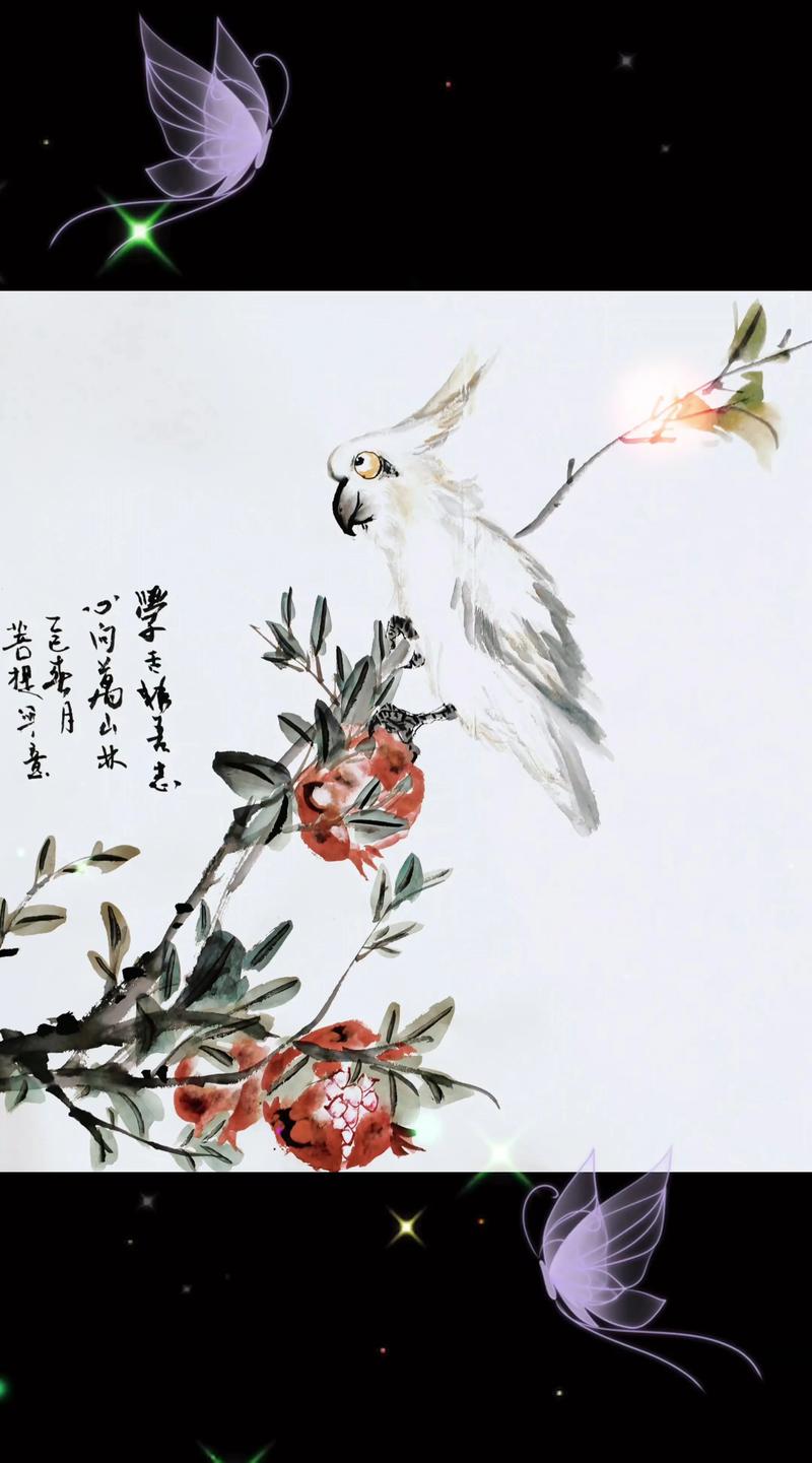 鹦鹉画像布置时是否需要考虑风水讲究？