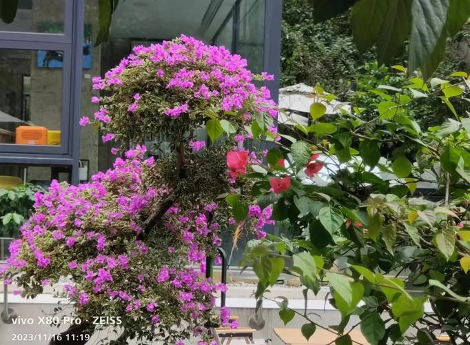 风水与鬼神之间是否存在某种神秘联系？