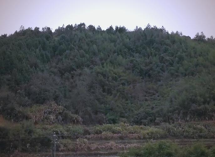 房前有坟墓对住宅风水真的有影响吗？