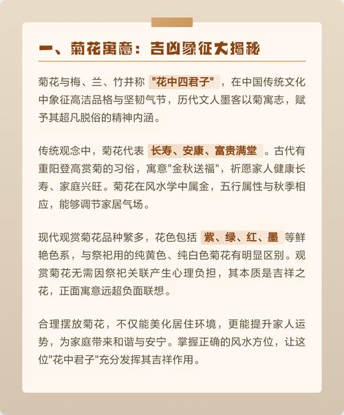 家里摆放菊花对风水有何讲究？