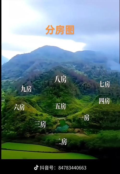 风水阳宅嫩否应用于观察或分析阴宅风水？