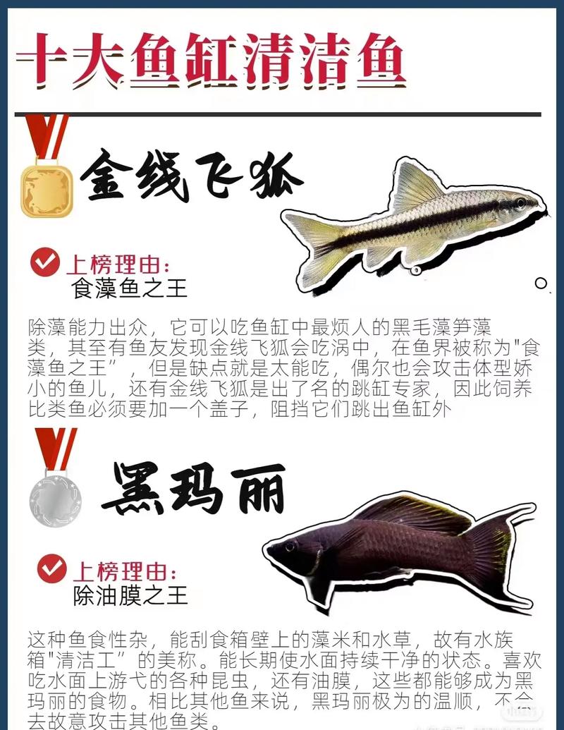 风水学中清洁工算鱼时应该数多少条鱼才算吉利呢？