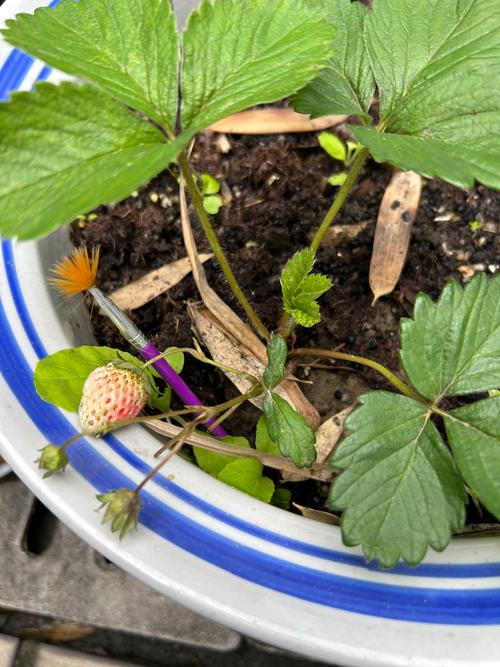 卧室墙角发芽对风水有影响吗？