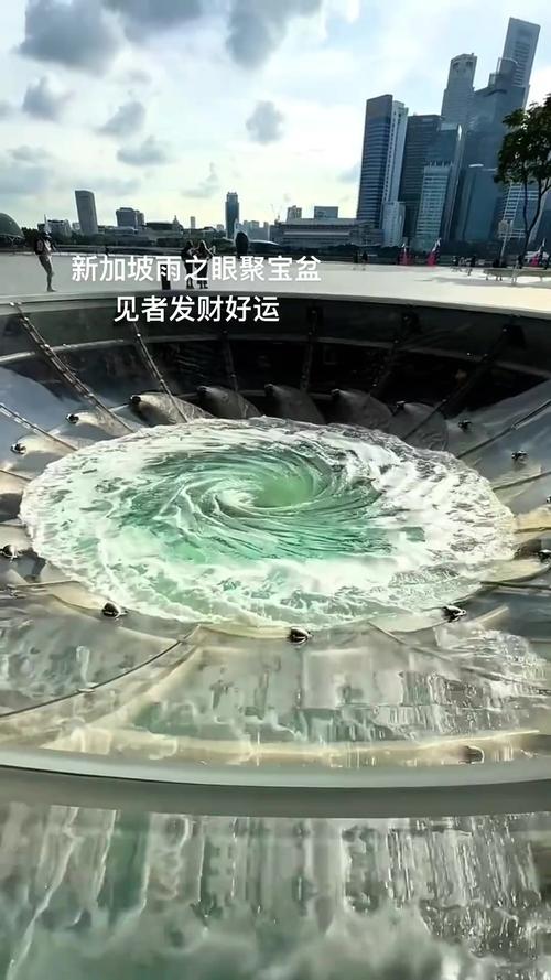 新加坡有专门的风水协会吗？哪家机构在新加坡提供风水服务？