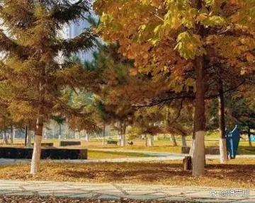 落叶堆积对住宅风水有何具体影响？