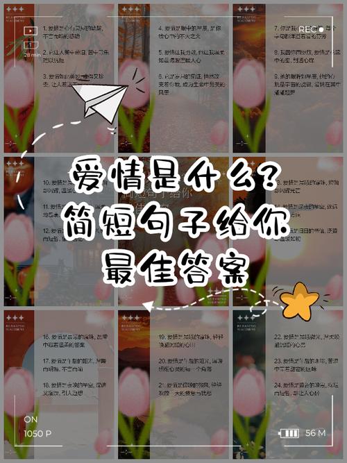 泽命不渝和真爱不渝分别指什么？如何用表达？