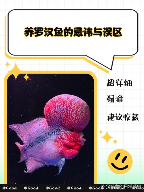 风水鱼能否与罗汉鱼共养，有何讲究？