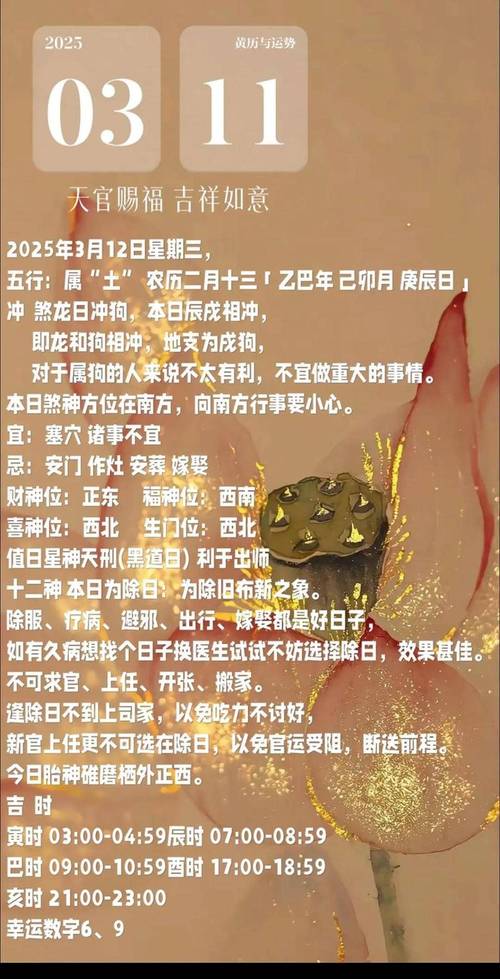 1995年11月出生的人是什么命？