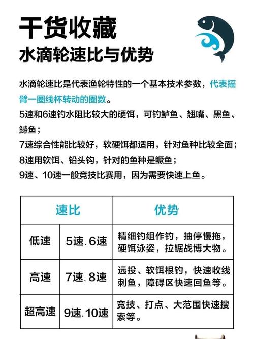 风水轮需要多久进行一次维修保养？