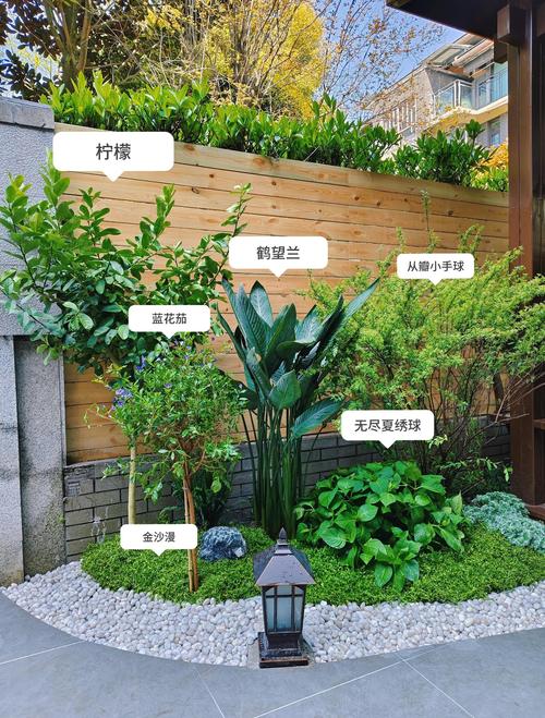 后院种花是否会影响风水布局？