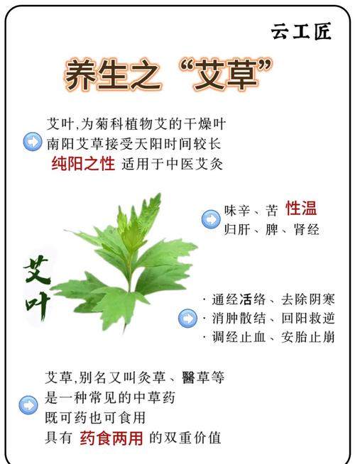 家里种艾草有什么风水讲究吗？