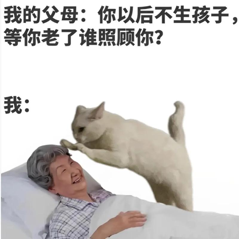 照顾老人命里注定，伺候老人真的能得福报吗？