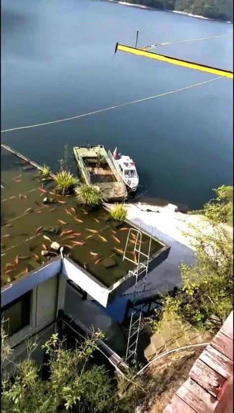 住房楼顶养鱼会对风水产生怎样的影响呢？