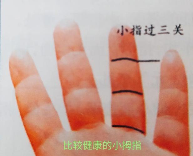 命硬不弯腰和手指弯曲是否预示命运不佳？