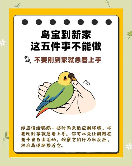 家里养鹦鹉究竟有没有什么风水讲究呢？