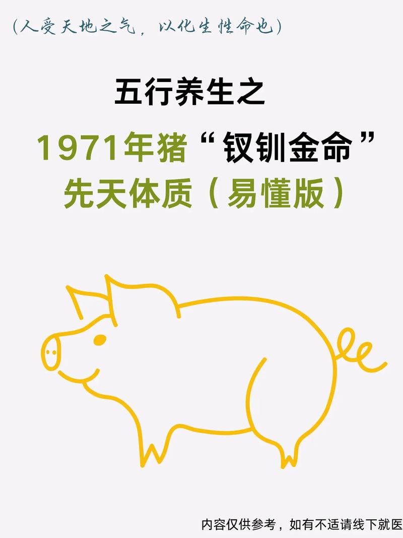 农历1997222什么命，1971年属猪的是什么命？能否告诉我？