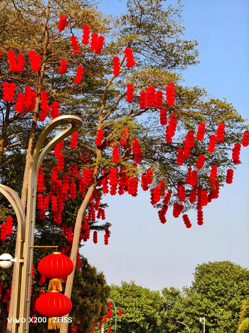 风水上，挂灯笼在树上是否会影响运势？