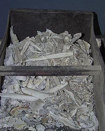 火化尸体后对风水有何影响或讲究？