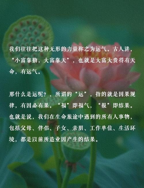 为什么有的人天生运势佳，总与好运相伴？
